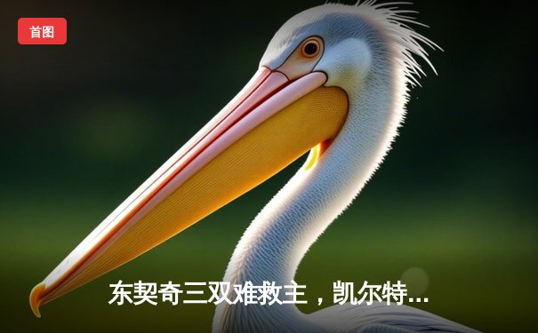 东契奇三双难救主，凯尔特人加时险胜独行侠夺总决赛开门红